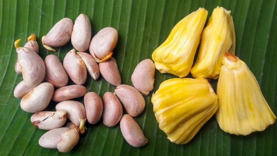 Hạt mít mang lại nhiều lợi ích cho sức khỏe.