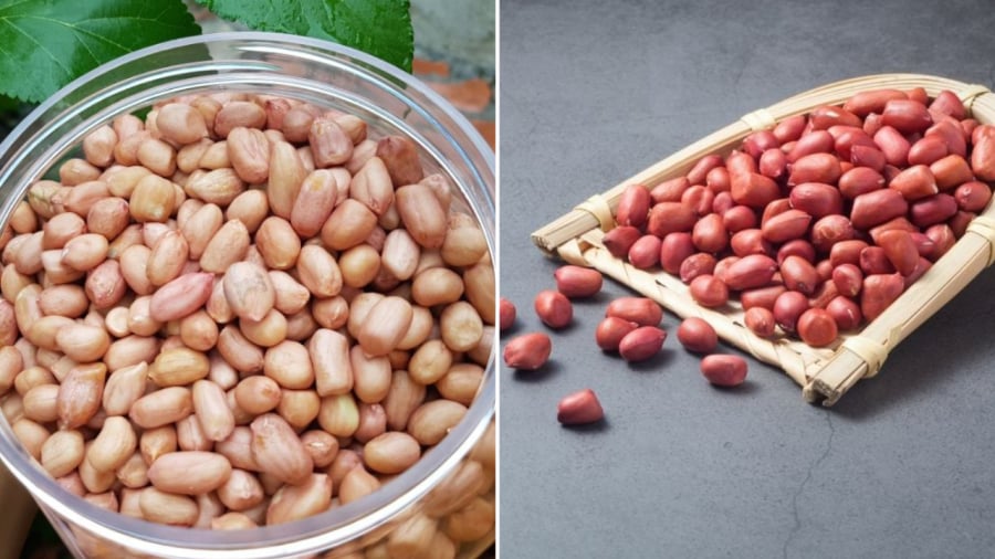 Dù chọn loại lạc nào, bạn cũng phải đảm bảo hạt lạc đều nhau, không bị mốc hỏng.