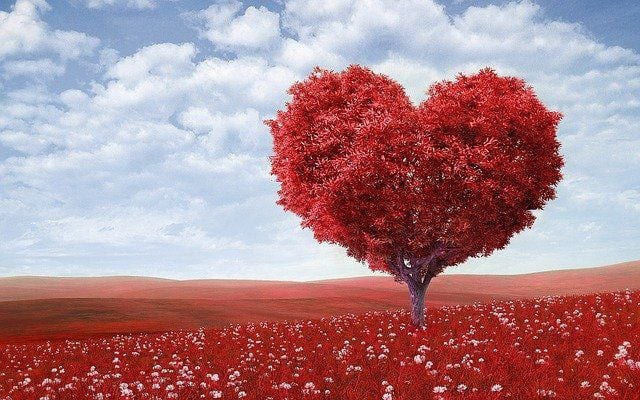 Nợ tình cảm là cái nợ khó trả nhất đời nên đừng vay mượn
