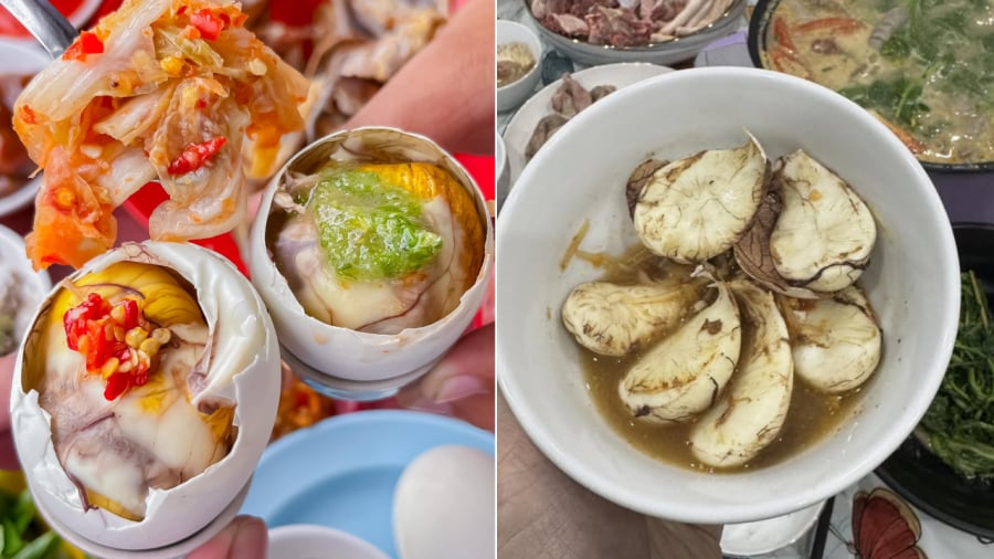 Cùi dừa trong quả trứng vịt lộn là phần lòng trắng bị cô đặc lại.