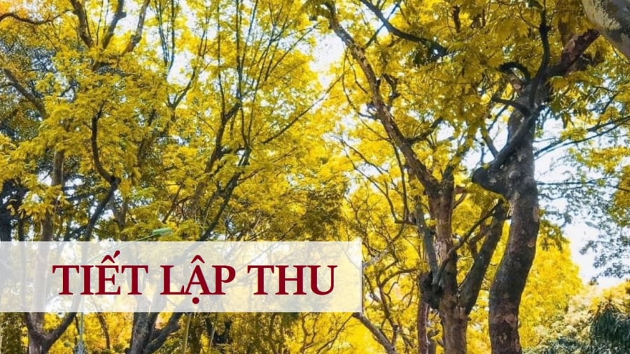 Tiết Lập Thu 2025 bắt đầu từ ngày 7/8 Dương lịch. 