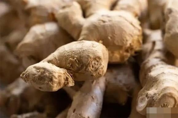 Gừng trở nên mềm nhũn, nổi lông, bên trong chuyển màu thâm đen hoặc có mùi chua, mất hẳn vị cay nồng đặc trưng thì tuyệt đối không nên dùng tiếp, dù chỉ là để nêm nếm.