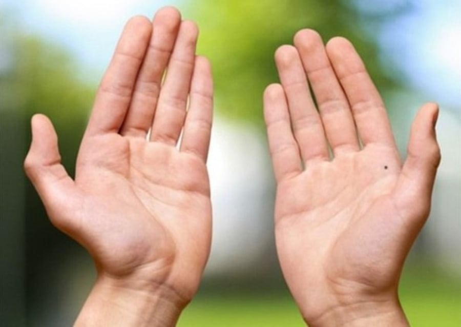 Người có đôi bàn tay to chẳng những có thể hút tài mà còn có thể tụ tài, tiền bạc kiếm được không phải là chuyện gì quá khó khăn... (Ảnh minh họa)