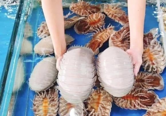 Bọ biển thường được chế biến đơn giản như hấp hoặc nướng để giữ trọn vẹn vị ngọt tự nhiên và hương thơm đặc trưng của thịt.