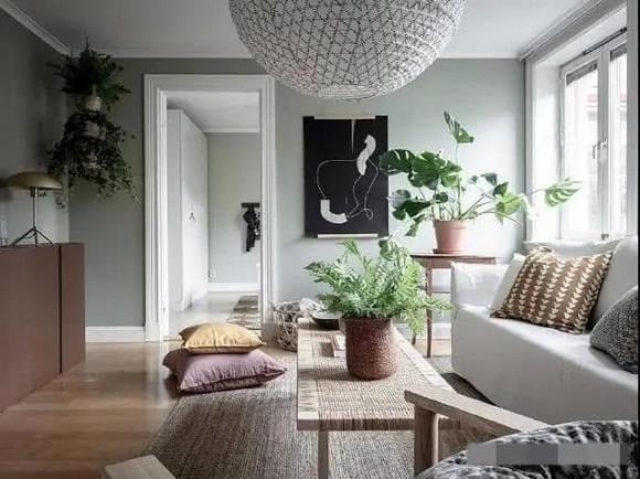 Chỉ cần đặt vài chậu cây xanh trong phòng khách, không gian sẽ trở nên tươi mới, tràn đầy sức sống.