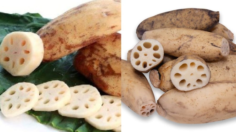Củ sen có loại 7 lỗ và loại 9 lỗ
