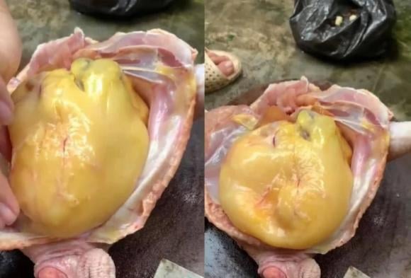 Cục mỡ vàng trong bụng gà vứt đi quá phí, người sành ăn làm 1 việc ngon gấp 5 lần