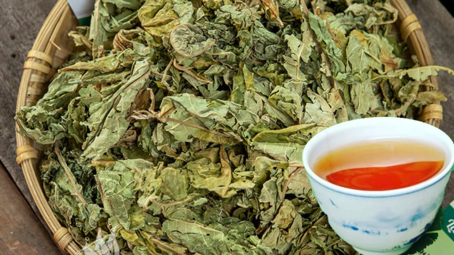 Nước lá đu đủ mang lại nhiều lợi ích cho sức khỏe.