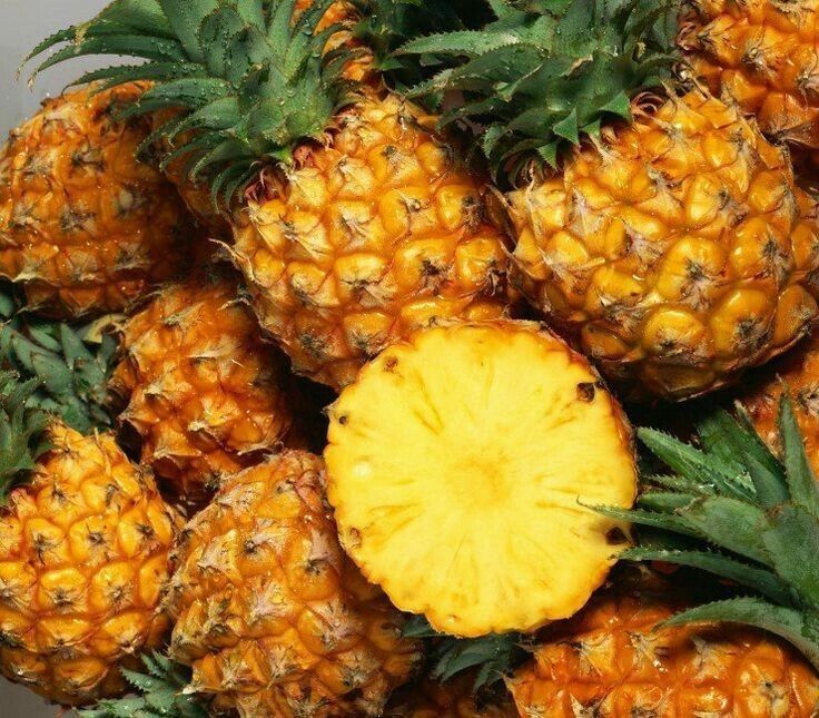 Dứa là trái cây giàu dinh dưỡng