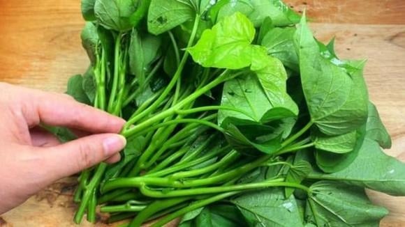 Loại rau đang gây “sốt” hiện nay chính là lá khoai lang.
