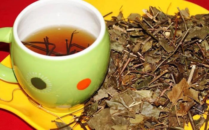Nước vối cực tốt nhưng lại 'đại kỵ' 1 thứ, uống vào chỉ càng thêm bệnh