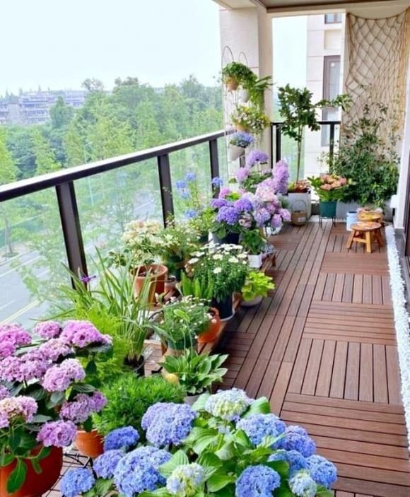 Một trong những dấu hiệu dễ nhận thấy nhất của phong thủy vượng là cây cối phát triển khỏe mạnh, xanh tươi bất thường.