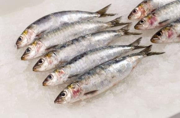 Đáng chú ý, nhiều chuyên gia dinh dưỡng tại Mỹ khẳng định có một loại cá đặc biệt giàu dưỡng chất, xứng đáng có mặt thường xuyên trong bữa cơm gia đình – đó là cá mòi.    