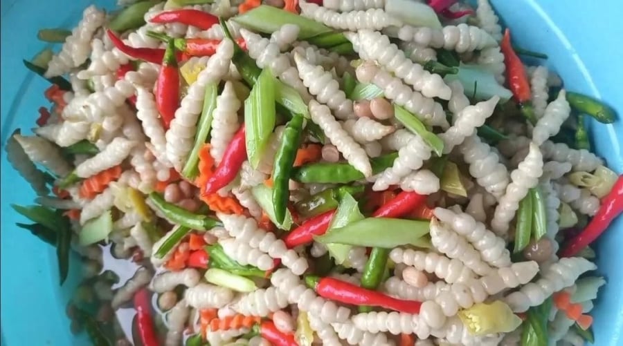 Sùng thảo dùng làm đồ chua
