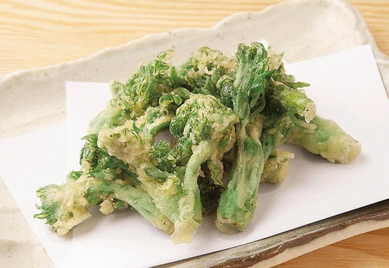 Món tempura được làm từ chồi non gai