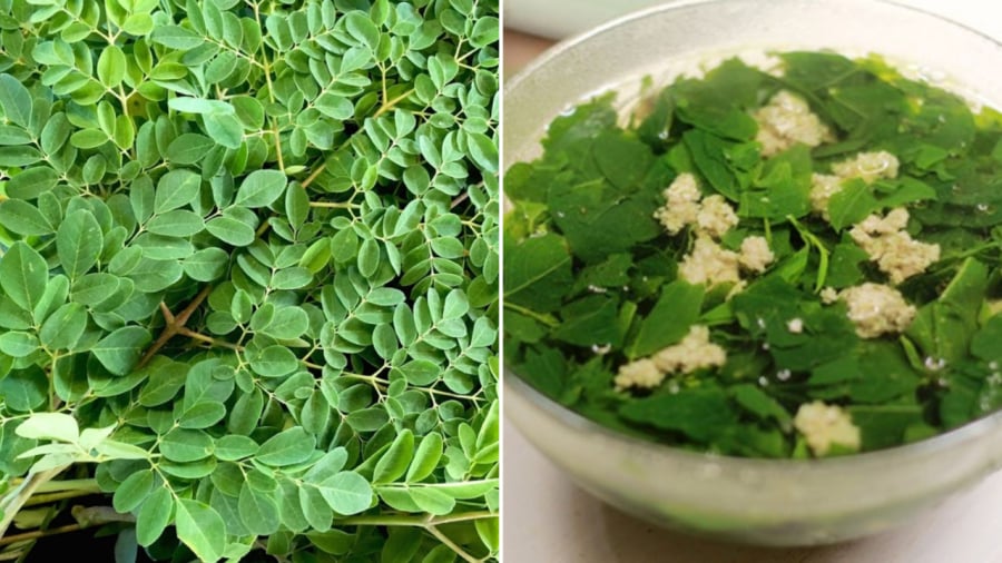 Rau chùm ngay có giá trị dinh dưỡng cao, đặc biệt giàu canxi, mang lại nhiều lợi ích cho sức khỏe.