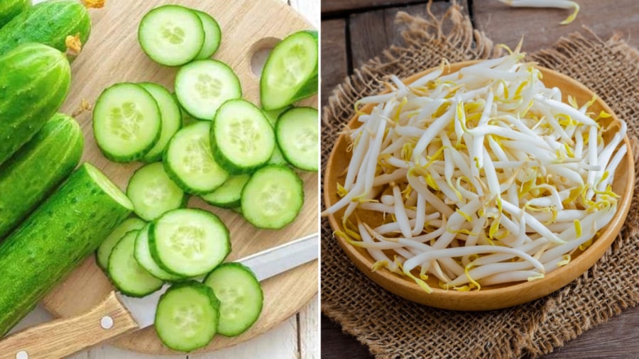 Giá đỗ, dưa chuột cung cấp nhiều nước và các dưỡng chất quan trọng cho cơ thể.