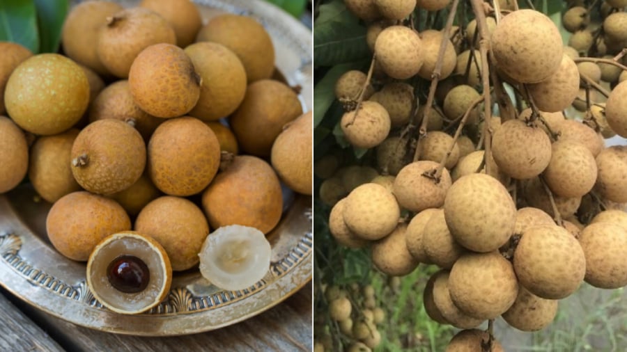Nhãn mua về không nên bỏ vào tủ lạnh ngay. Nếu muốn bảo quản nhãn được lâu, bạn nên cắt rời từng quả rồi mới cho vào hộp.