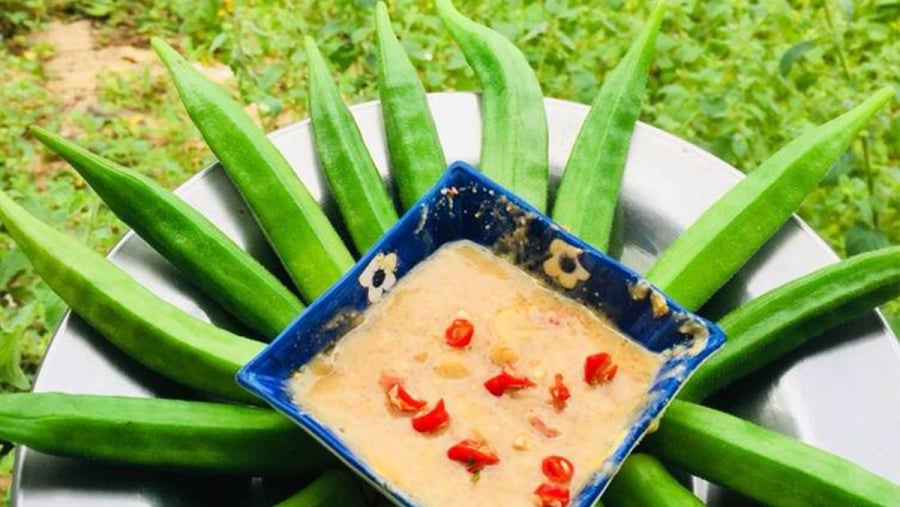Ngoài hương vị dễ ăn, đậu bắp còn được ưa chuộng bởi khả năng hỗ trợ tiêu hóa, giảm táo bón và làm dịu dạ dày