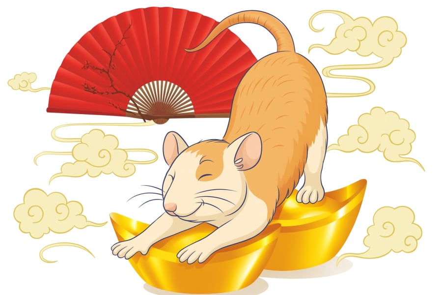 Người tuổi Tý vốn nổi tiếng nhanh nhạy, giỏi nắm bắt cơ hội và không ngại thử sức ở nhiều lĩnh vực khác nhau