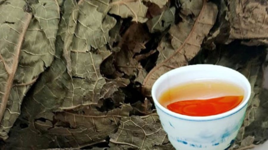 Lá đu đủ có nhiều tác dụng tốt với sức khỏe, tuy nhiên không phải ai cũng sử dụng được, đặc biệt là 5 người này.