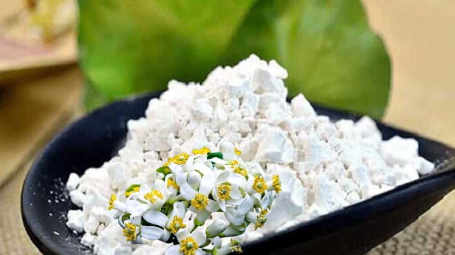 Hoa bưởi tạo hương thơm quyến rũ nhưng có nhiều bất lợi hơn lợi