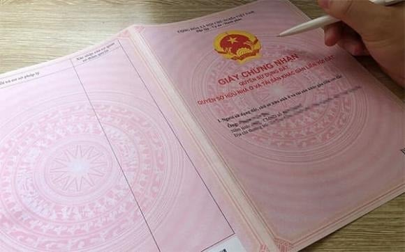 Đối với tư vấn lập quy hoạch sử dụng đất, các tổ chức phải đáp ứng điều kiện cụ thể về chuyên môn.