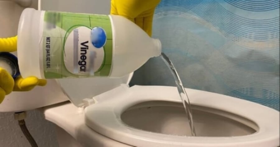 Đổ nửa bát giấm vào bồn cầu và để nửa tiếng