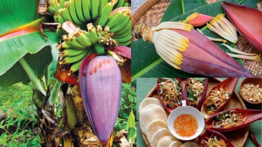 Hoa chuối rất phổ biến ở Việt Nam