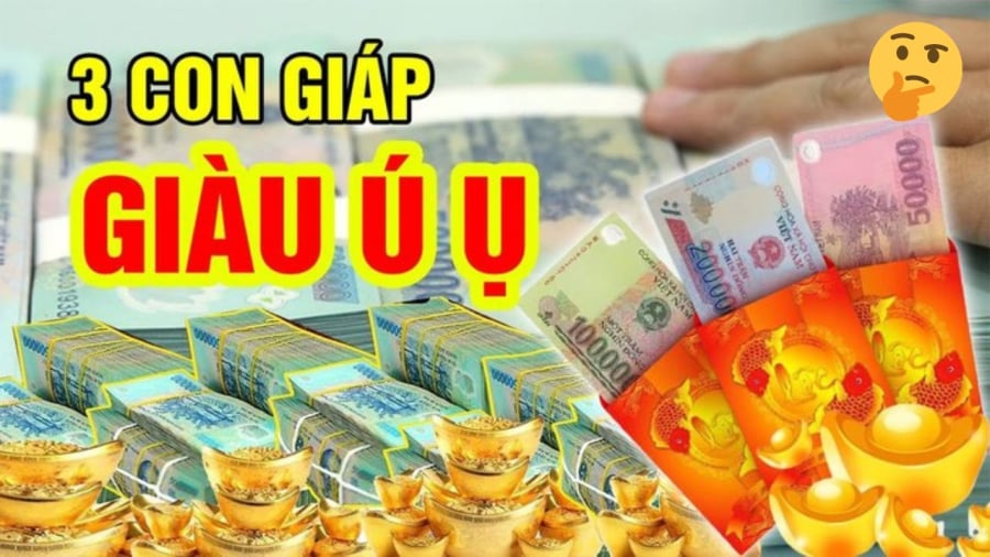 100 ngày liên tiếp, 3 tuổi Chẳng Cầu Cũng Được, 1 tuổi khổ lên khổ xuống