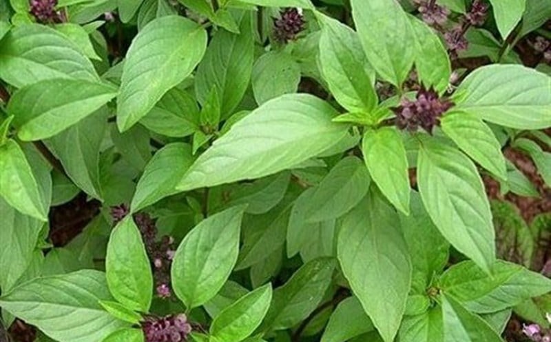 lamdep-1046.jpg
