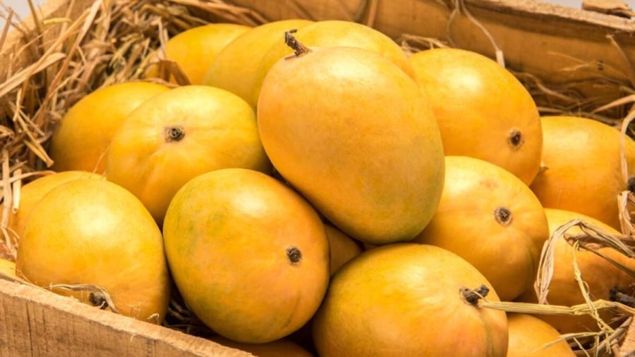 5-cach-u-xoai-nhanh-chin-tu-nhien-dung-cach-va-hieu-qua-nhat-avt-1200x676