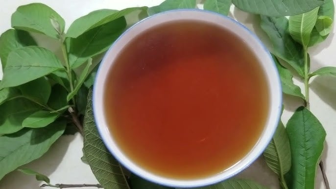 Vị nước hơi chát nhẹ nhưng hậu ngọt, thơm mùi lá cây dễ chịu, có thể cho thêm vài lát gừng hoặc chút mật ong nếu muốn tăng thêm hương vị.