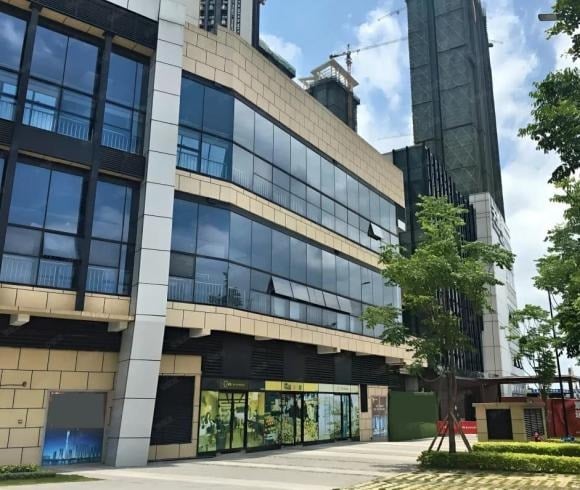 Một số dự án kết hợp khu thương mại ở tầng dưới và căn hộ ở tầng trên. 