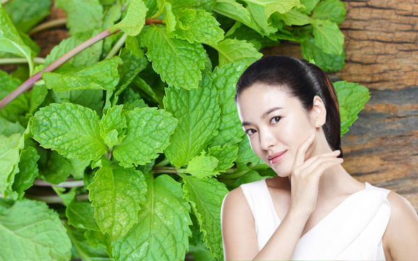 mat-na-deo-bac-ha-han-quoc-dung-cho-spa-loai-nao-tot-1-0757.png