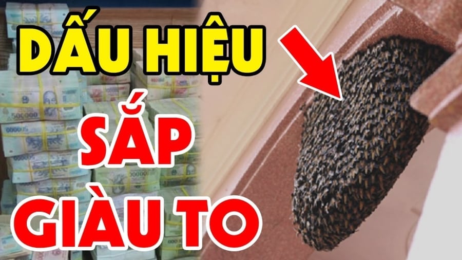 Dấu hiệu nhà sắp giàu to