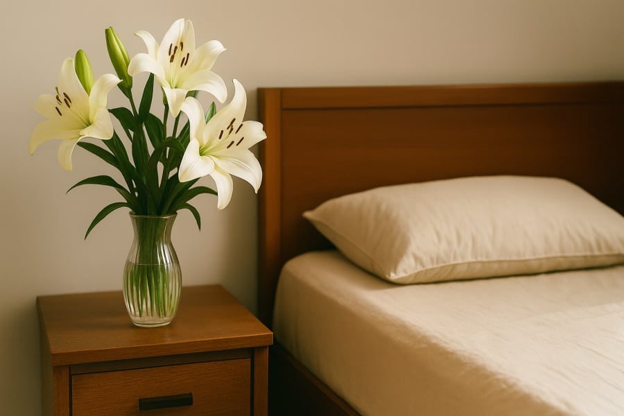 Hoa ly có hương nồng, dễ gây mất ngủ, không phù hợp đặt trong phòng ngủ.