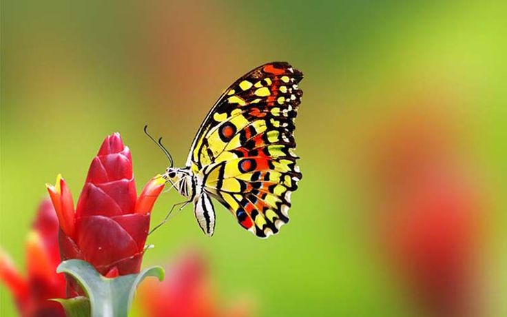 Hơn nữa, người có ngày sinh Âm lịch kết thúc bằng số 2 đặc biệt chú ý đến sự cân bằng. Trong công việc và cuộc sống, họ luôn cố gắng duy trì sự cân bằng trong mọi khía cạnh và không bỏ bê bất kỳ khía cạnh nào. (Ảnh minh họa)