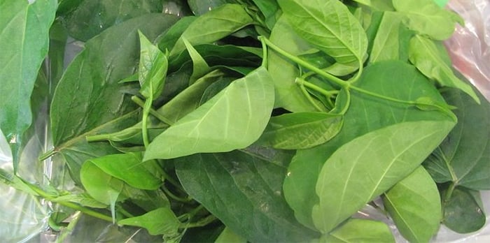 Rau máu chỉ cần luộc hoặc xào sơ là đủ ngon.