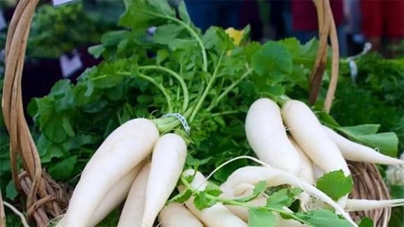 Củ cải là loại rau củ phổ biến vào mùa thu, nổi bật với vị tươi mát, ngọt nhẹ và giàu vitamin C cùng chất xơ. 