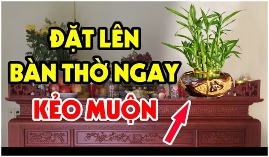 4 loại cây đặt lên bàn thờ may mắn