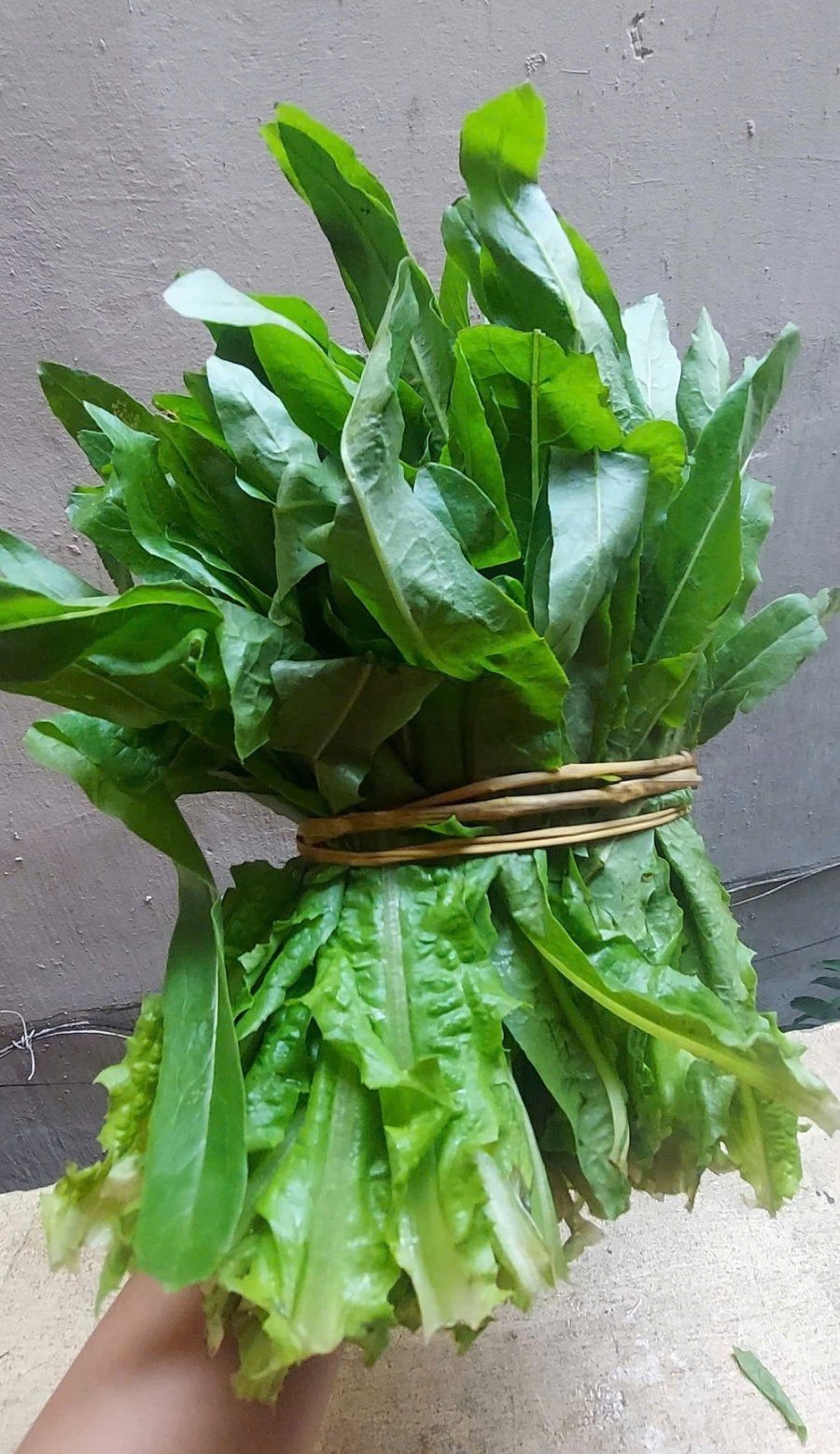 Loại rau giàu canxi gấp 10 lần canh xương hầm, tốt hơn cả sữa, giá chưa đến 20 nghìn/bó