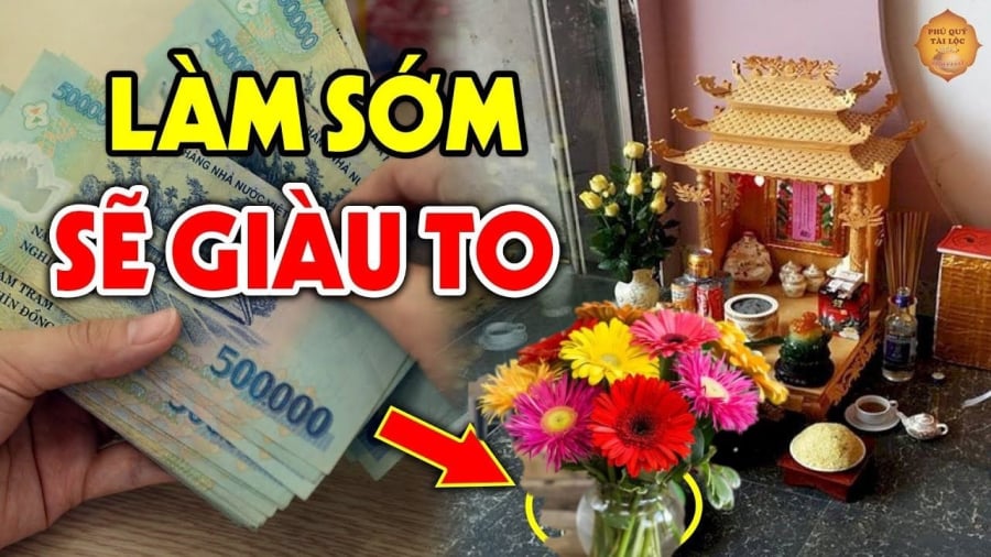 Hoa đồng tiền mang màu sắc rực rỡ, tươi sáng, tượng trưng cho sự phú quý, tài lộc và may mắn.