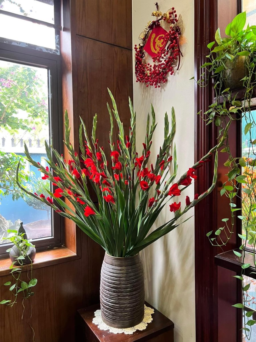 Hoa lay ơn thường xuất hiện nhiều trong các dịp lễ Tết và thờ cúng bởi vẻ đẹp trang nhã, dáng hoa cao thẳng, bông nở dọc theo cành mang ý nghĩa sự thăng tiến, may mắn.