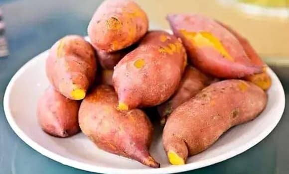 Củ khoai bị dập nát hay trầy xước vỏ tưởng chừng chỉ mất thẩm mỹ, nhưng thực chất là môi trường thuận lợi cho vi khuẩn nguy hiểm như E. coli hay Salmonella phát triển.