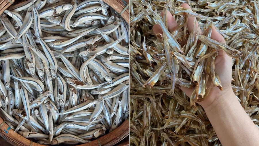 Cá cơm không chỉ có lượng protein dồi dào mà còn chứa nhiều omega-3.