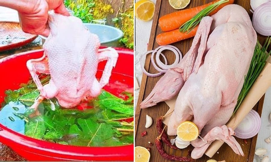 Cách nhổ lông vịt nhanh