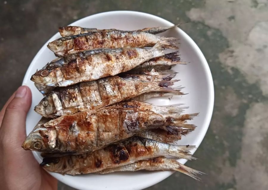 Cá trích nướng rất giàu dinh dưỡng và rất phổ biến ở Việt Nam