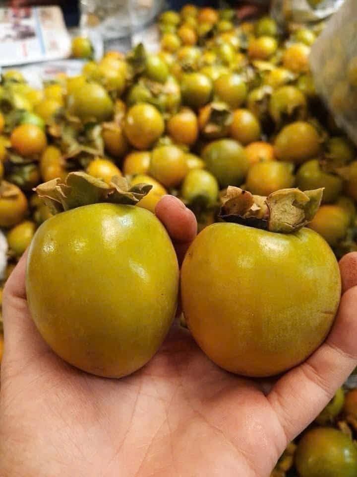 Hồng giòn là trái cây phổ biến của mùa thu đông