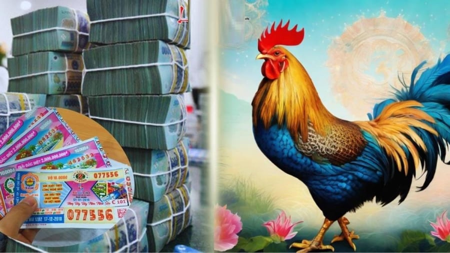 Nhiều người tuổi Dậu trong 3 tháng tới có thể ký hợp đồng mua đất, mua nhà, hoặc đổi sang xe mới. Hạnh phúc gia đình cũng được vun đầy, vừa có tiền vừa có tình, đời sống thăng hoa.